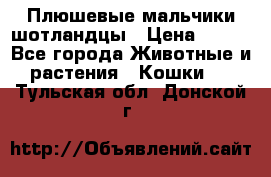 Плюшевые мальчики шотландцы › Цена ­ 500 - Все города Животные и растения » Кошки   . Тульская обл.,Донской г.